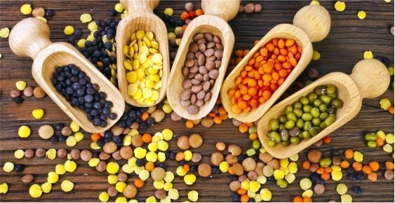 About Us Our Company 02